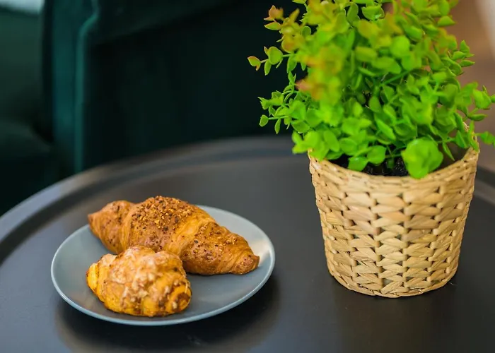 森格别墅酒店 公寓 *